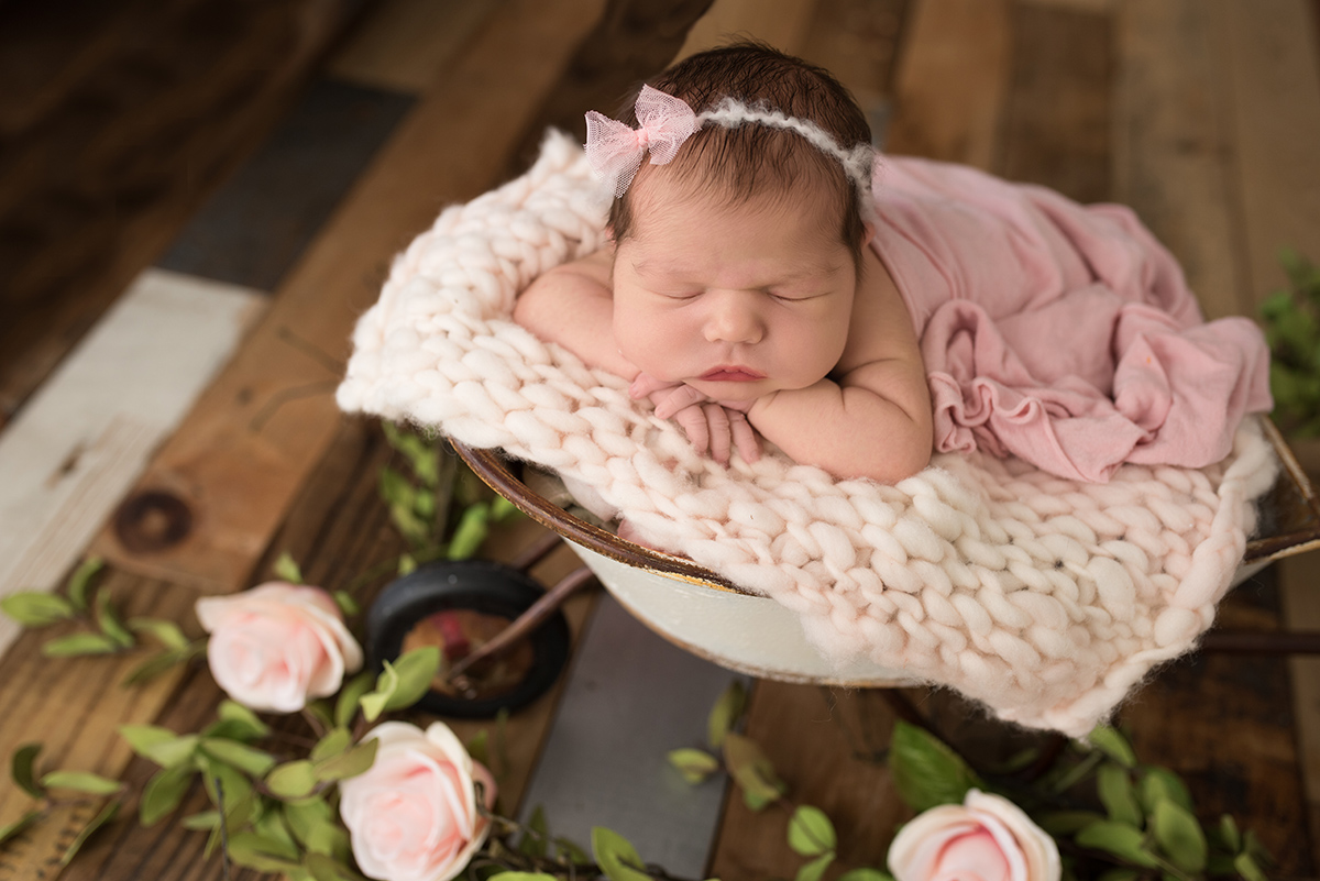 newborn girl in a wagon with roses