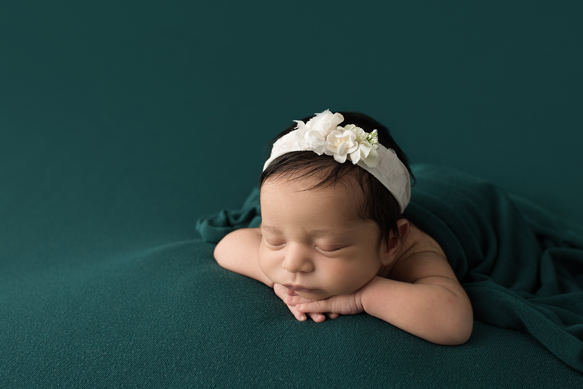 posed newborn image