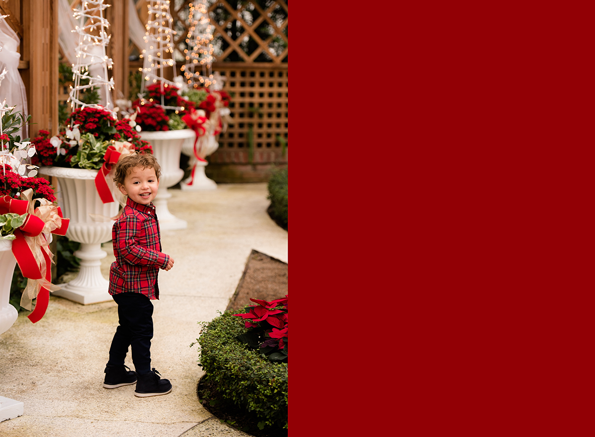family photos at Phipps conservatory