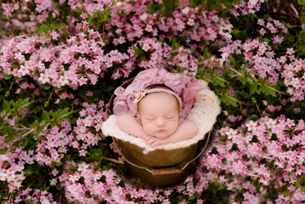 newborn in bucket outside in flowers