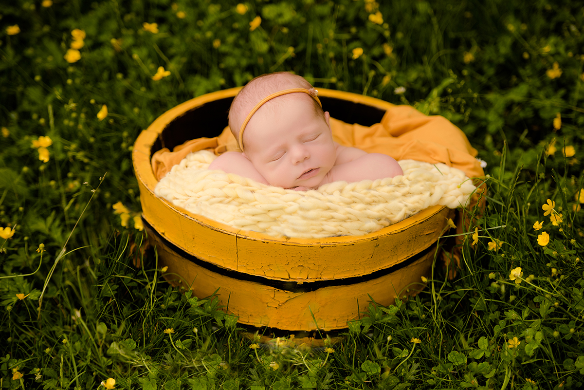 newborn in a bucket in flowers